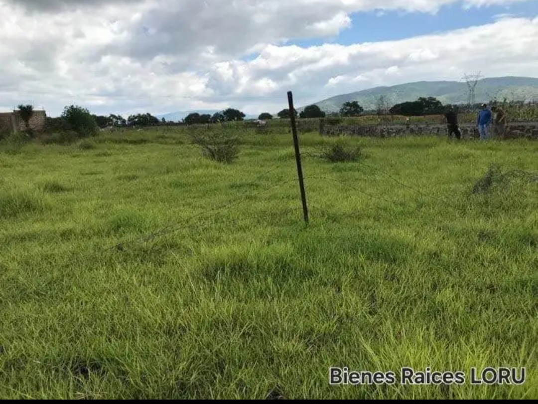 Terreno Ejido Las Tortugas